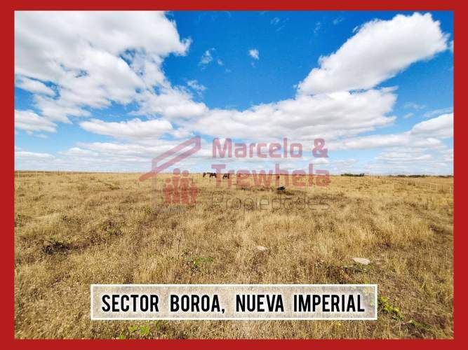 VENDO TERRENO 1.6 HECTAREAS, COMUNA DE NUEVA IMPERIAL. CODIGO #1009
