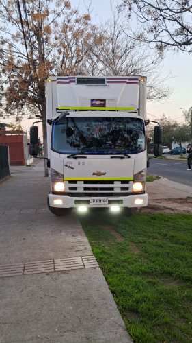 Camion Chevrolet FRR 1119 año 2017