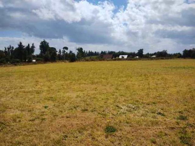 Parcela Plana 5000m2 ¡Vista Lago y Volcán!