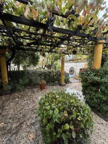 CASA Demostenes Rivera