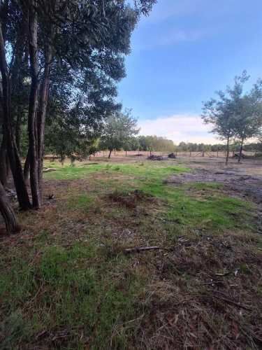 PARCELA Charrua, Cabrero