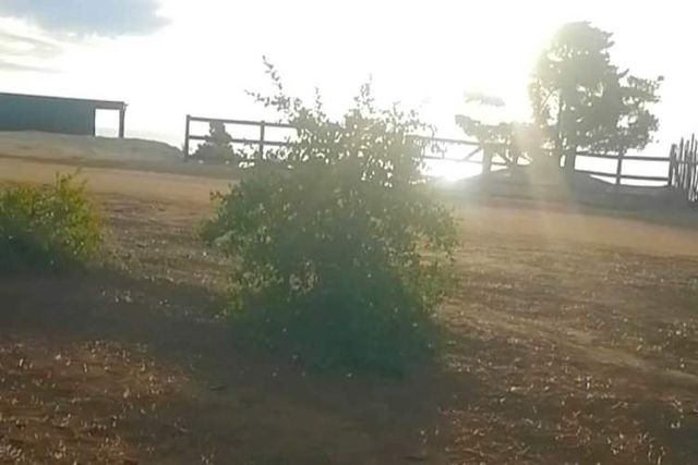 CAHUIL,TERRENO 5.000 M2 HERMOSA VISTA AL MAR (95013)