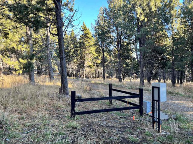 PARCELA Camino Reserva Coyhaique