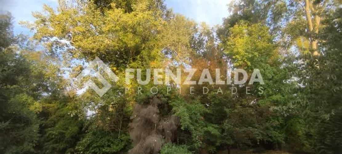 PARCELA LAS BECASINAS