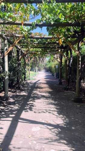 VENTA CASA PARCELA CHILENA 2 PISOS EN CONDOMINIO CHICUREO SECTOR SANTA INES DE MIRAFLORES, CERCANA COLEGIO KIMEN - PUCALAN - PUMAHUE - TRREWHELAS - SAN NICOLAS DE DIACONO 