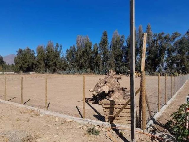 SITIO Camino El Oliveto