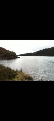 GRAN Oportunidad Terreno 4,2 ha a orilla de Lago Huillinco, CHILOÉ