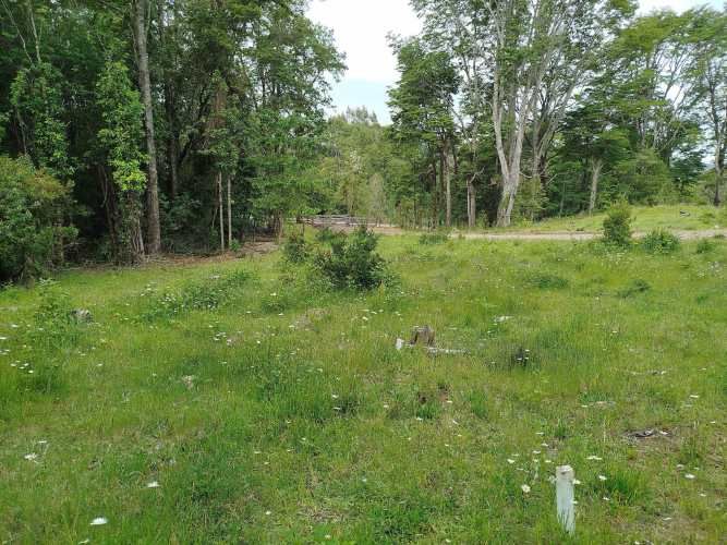 Últimas 4 parcelas a 15 minutos de La Unión, desde $24 Mill