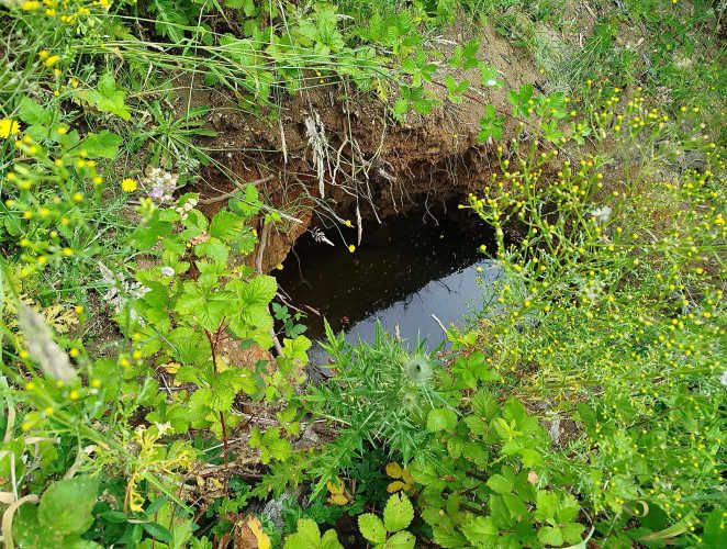 Últimas 4 parcelas a 15 minutos de La Unión, desde $24 Mill