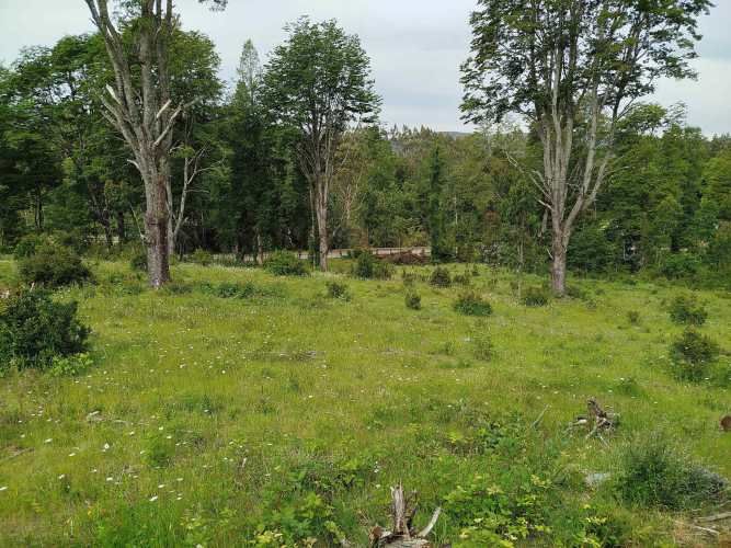 Últimas 4 parcelas a 15 minutos de La Unión, desde $24 Mill