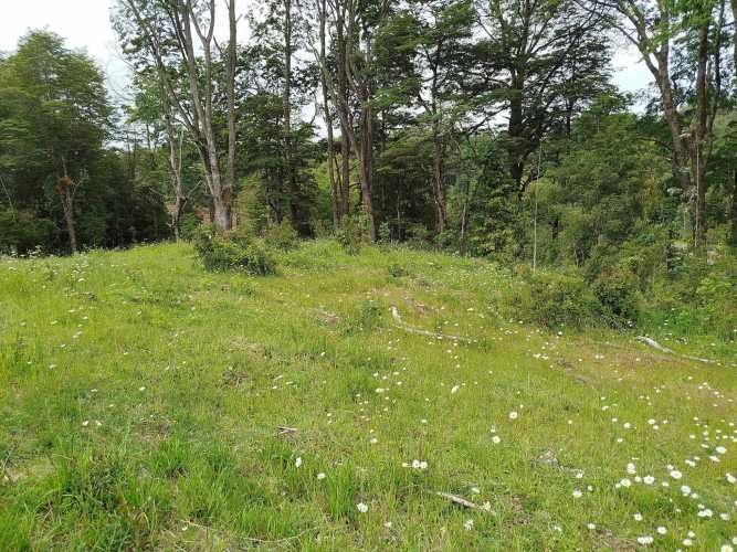 Últimas 4 parcelas a 15 minutos de La Unión, desde $24 Mill