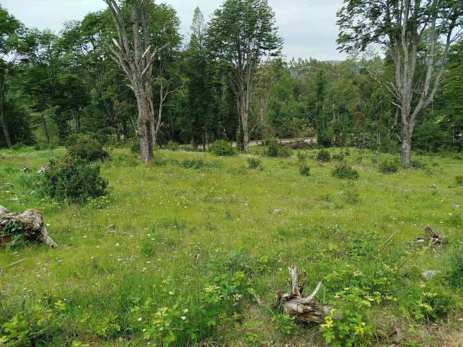 Últimas 4 parcelas a 15 minutos de La Unión, desde $24 Mill