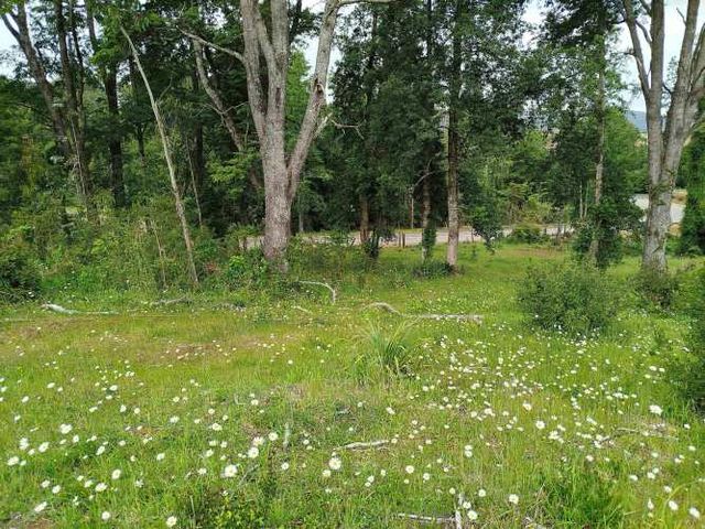 Últimas 4 parcelas a 15 minutos de La Unión, $25 Mill a $35 Mill