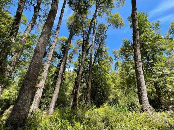 Últimas 4 parcelas a 15 minutos de La Unión, desde $24 Mill