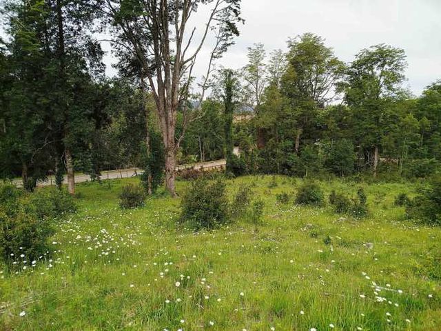 Últimas 4 parcelas a 15 minutos de La Unión, $25 Mill a $35 Mill