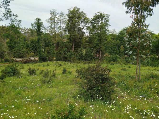 Últimas 4 parcelas a 15 minutos de La Unión, desde $24 Mill