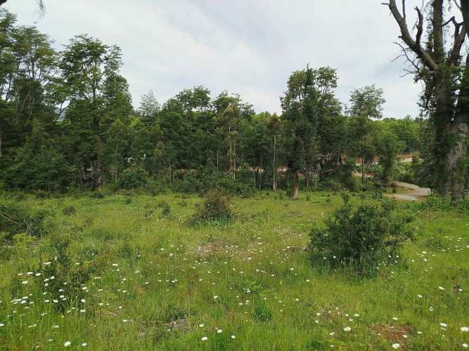 Últimas 4 parcelas a 15 minutos de La Unión, desde $24 Mill