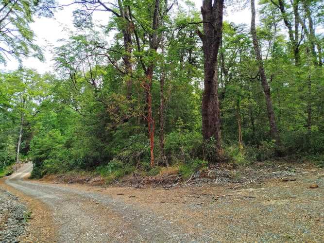 Últimas 4 parcelas a 15 minutos de La Unión, desde $24 Mill