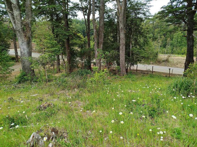 Últimas 4 parcelas a 15 minutos de La Unión, desde $24 Mill