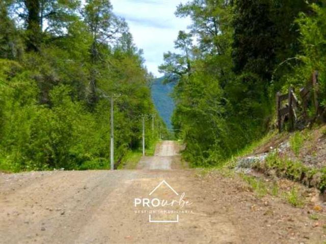 PARCELA CAMINO PUCÓN MENETUÉ QUILACO