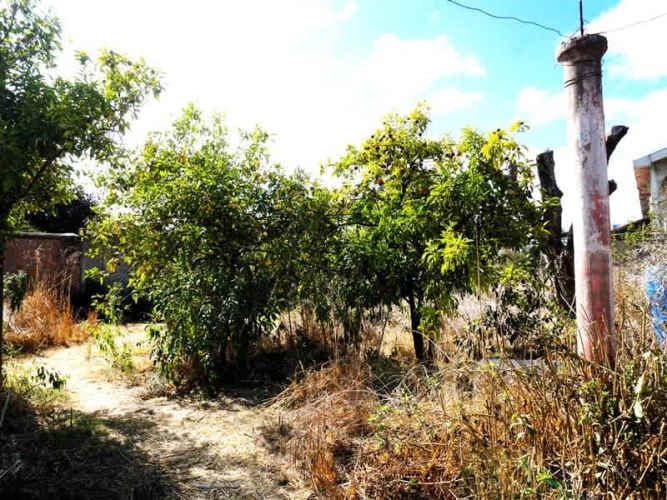 SITIO Quillota - Centro.