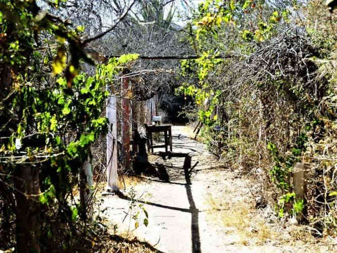 SITIO Quillota - Centro.