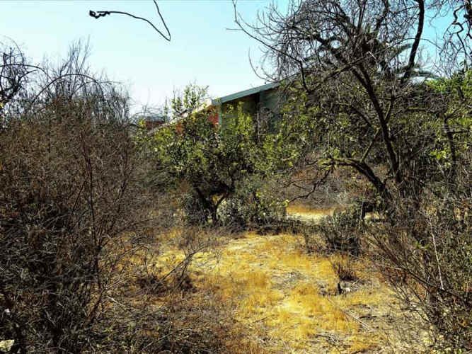 SITIO Quillota - Centro.