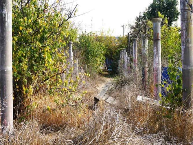 SITIO Quillota - Centro.