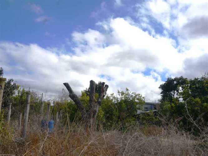 SITIO Quillota - Centro.