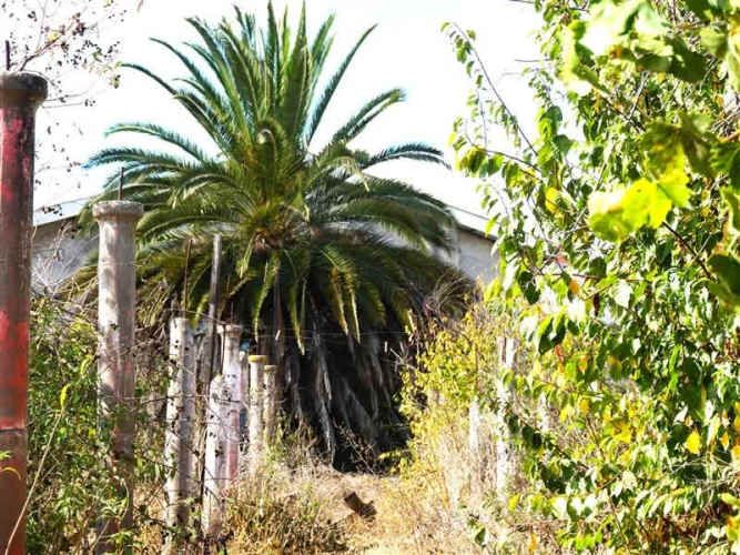 SITIO Quillota - Centro.