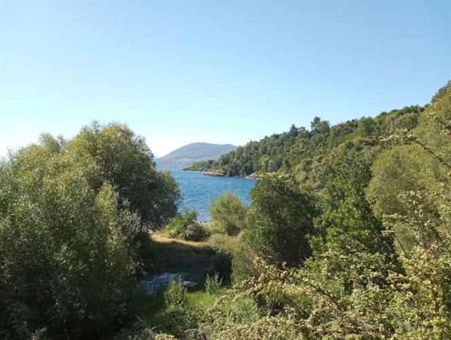SITIO Lago Ranco / Desembocadura Río Calcurrupe