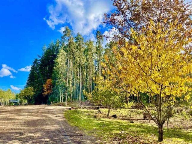 AGRICOLA Ruta S-258 Temuco