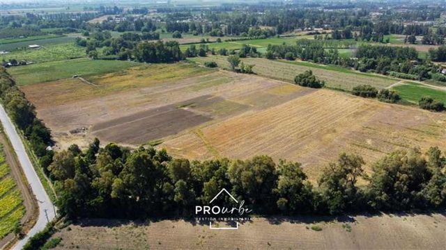 PARCELA Venta Parcela Agrícola 17 has suelos RI y RII, Champa, Paine