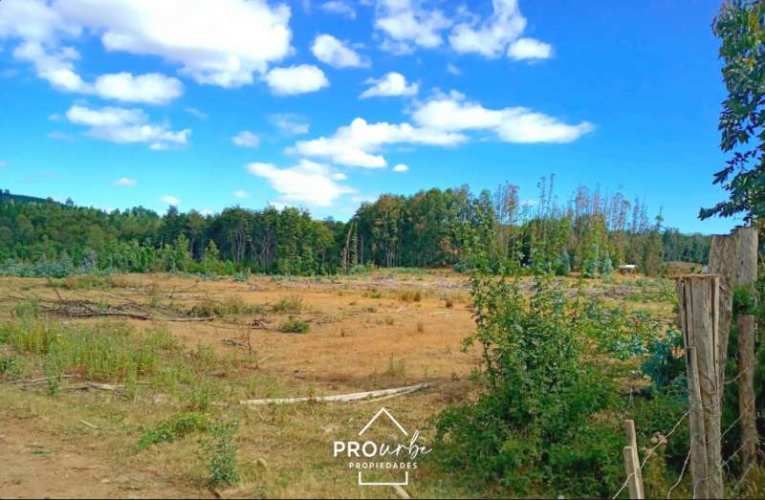 TERRENO CONSTRUCCION Oportunidad Ultima parcela Venta en Verde Parcelación Agricola San Clemente