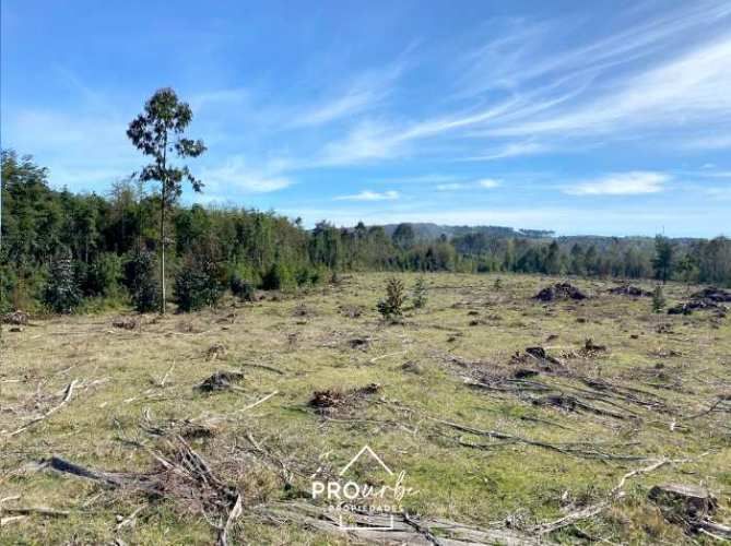 TERRENO CONSTRUCCION Oportunidad Ultima parcela Venta en Verde Parcelación Agricola San Clemente