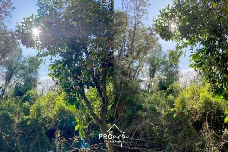 TERRENO CONSTRUCCION Oportunidad Ultima parcela Venta en Verde Parcelación Agricola San Clemente