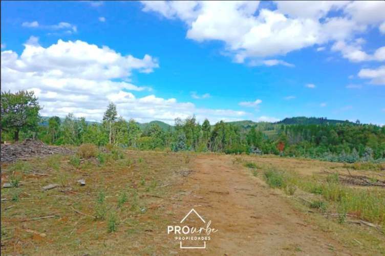 TERRENO CONSTRUCCION Oportunidad Ultima parcela Venta en Verde Parcelación Agricola San Clemente