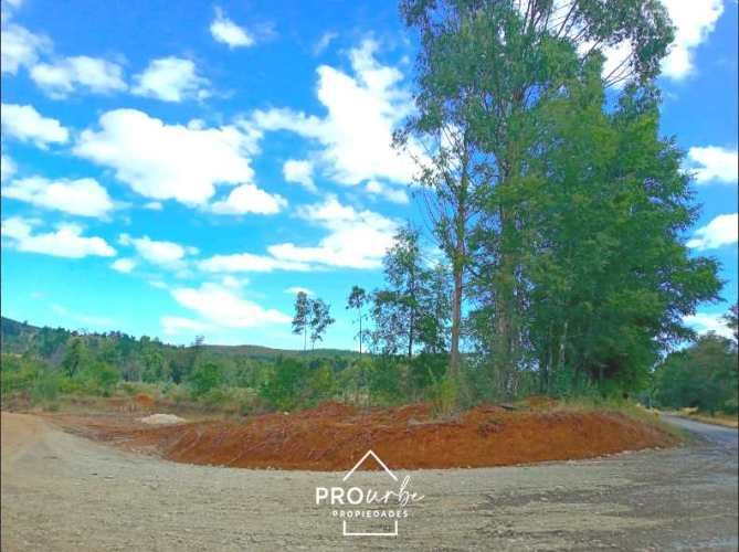 TERRENO CONSTRUCCION Oportunidad Ultima parcela Venta en Verde Parcelación Agricola San Clemente