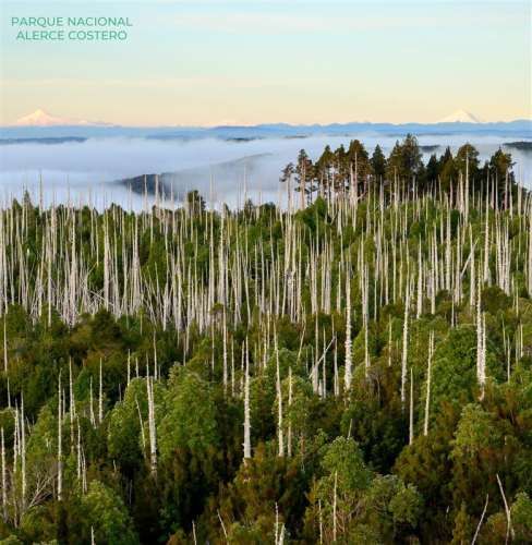 TERRENO CONSTRUCCION Oportunidad Ultima parcela Venta en Verde Parcelación Agricola San Clemente