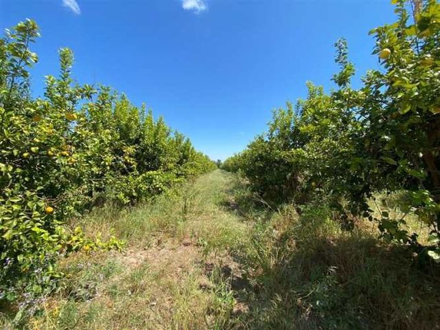 SITIO Los Panguiles / Derechos de Agua