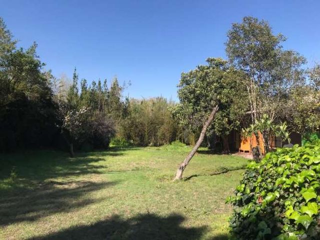 SITIO María Monvel/Onofre Jarpa