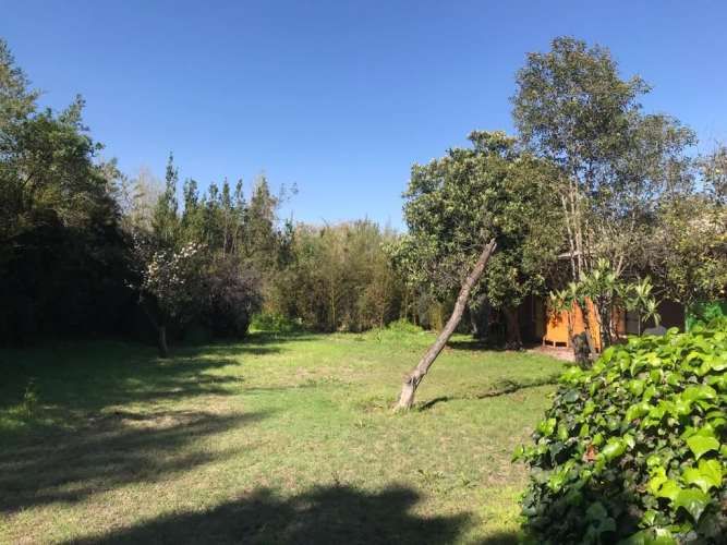 OTROS María Monvel/Onofre Jarpa