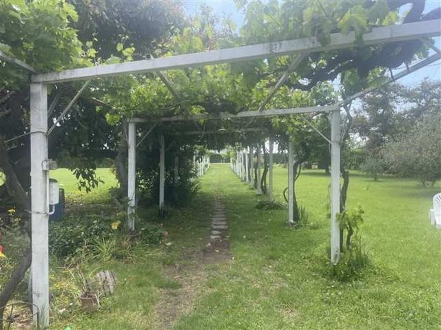 AGRICOLA Ruta G 46 / Las Tortolas