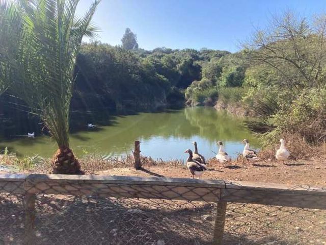 PARCELA Parcela Las Gaviotas