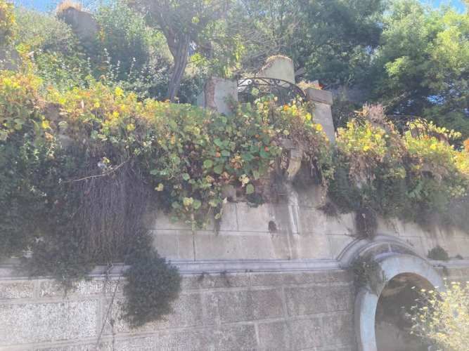 CASA Bustamante/Marquez