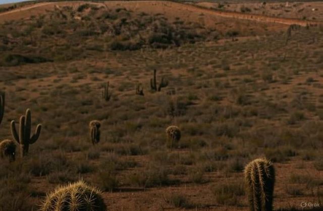 Se Arrienda Terreno de 5,15 hectáreas en Ovalle, Región Coquimbo