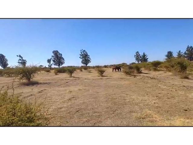 Se Arrienda Terreno de 28 hectáreas entre Parral y Cauquenes