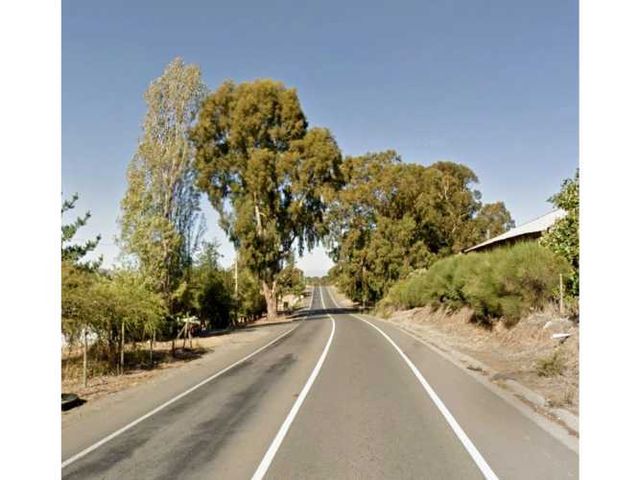 Se Arrienda Terreno de 28 hectáreas entre Parral y Cauquenes