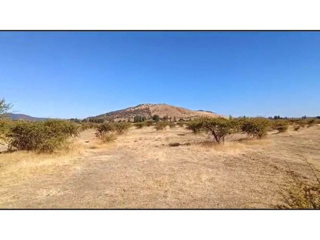 Se Arrienda Terreno de 28 hectáreas entre Parral y Cauquenes
