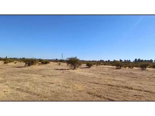 Se Arrienda Terreno de 28 hectáreas entre Parral y Cauquenes